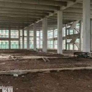 二绕内全新高品质单层钢构厂房 双证全