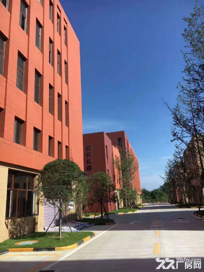 现代建筑风格、德系精工品质、标准定制厂房可租可售