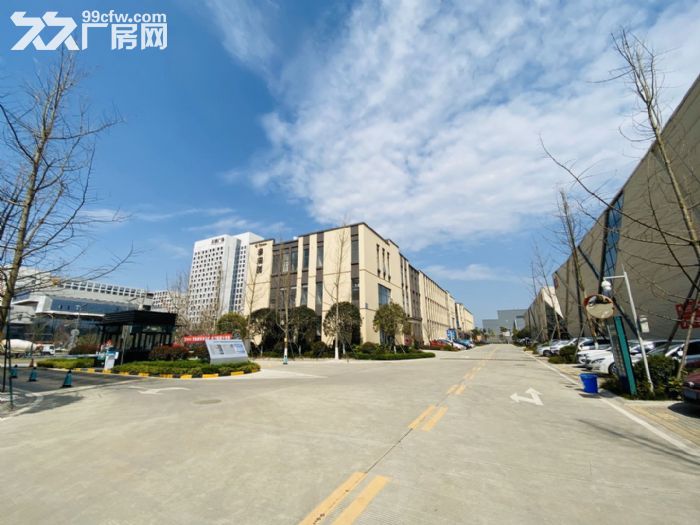 温江园区稀缺钢结构厂房 1800平-图4