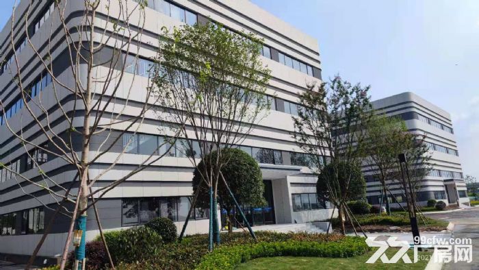 天府新区园区厂房租售，可办理产权可按揭，600平起