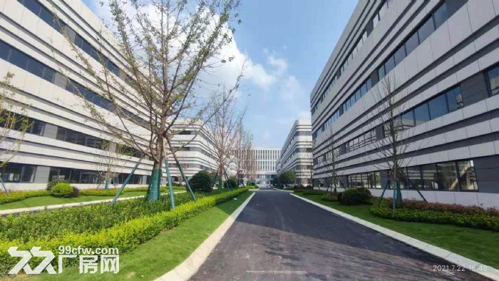 天府新区园区厂房租售，可办理产权可按揭，600平起-图2