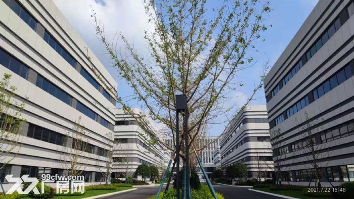 天府新区园区厂房租售，可办理产权可按揭，600平起-图5