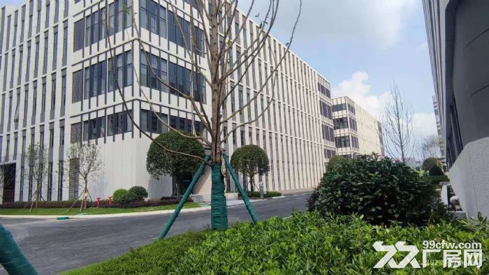 天府新区园区厂房租售，可办理产权可按揭，600平起-图8