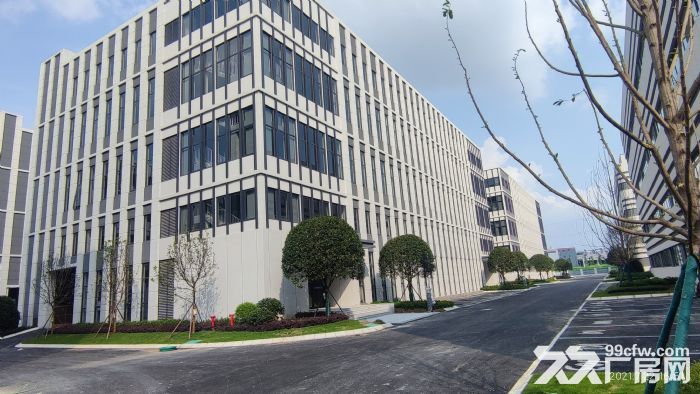 政府支持项目厂房出租，电子信息、智能制造、高端装备首选地