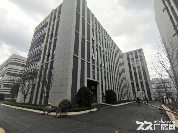 独门独院全新钢构房源出租,手慢无600平起步