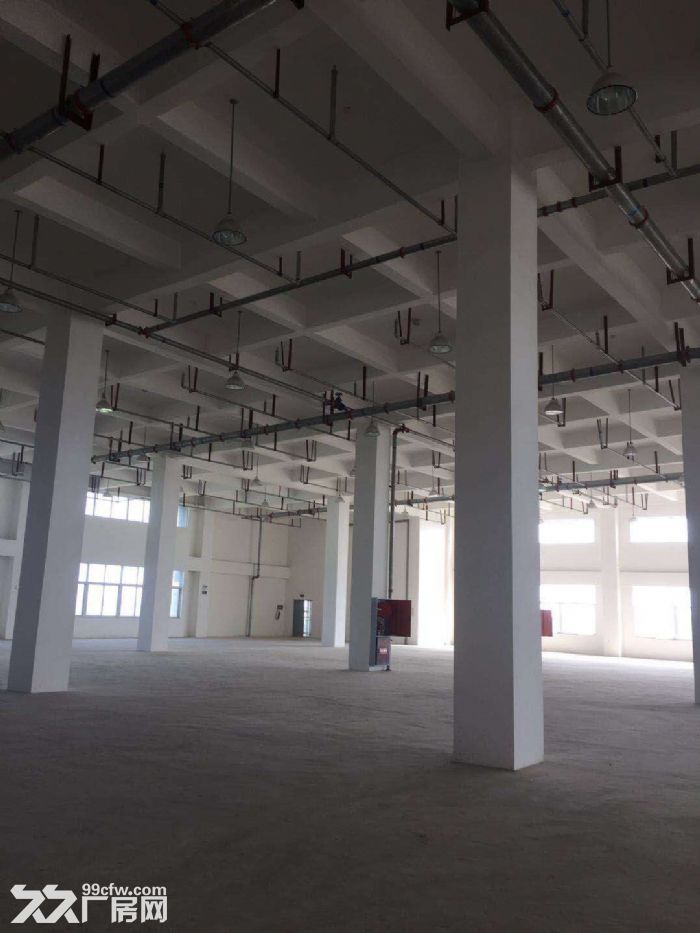 出租崇州厂房大小面积都有