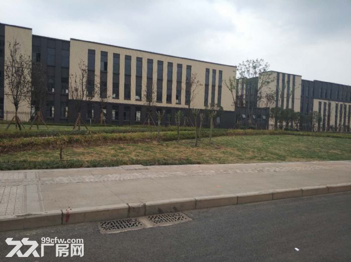 天府新区龙泉汽车城旁边高端厂房，面积1300起 形象好可安行车，政府扶持项目-图6