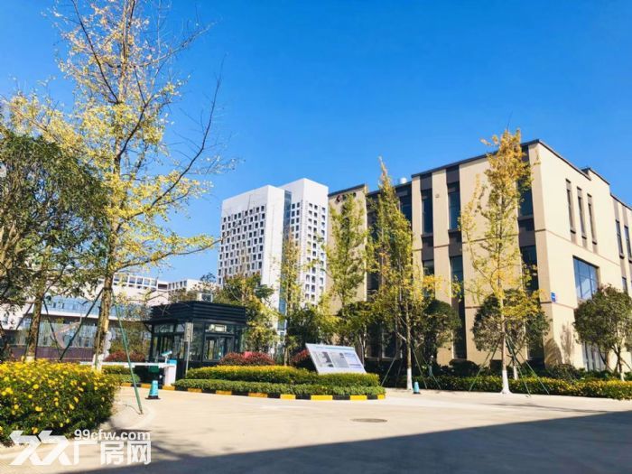 急租天府新区新兴产业园品质钢结构厂房1100平带装修行车-图2