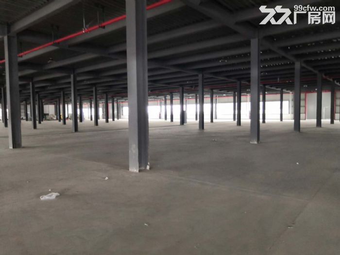 一楼厂房7442㎡、可按需分割、配办公室-图5