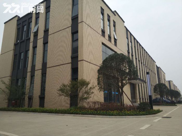 龙泉汽车城旁沃尔沃项目隔壁，高新技术园区，6月竣工交付活动 价格最优惠-图8