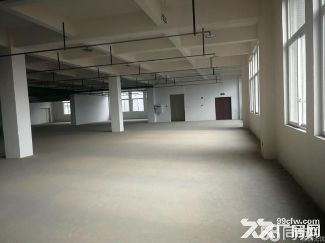 双流航空港2600平独院框架厂房出租