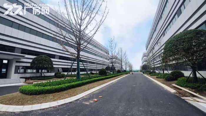 天府新区准现房、标准厂房长短租，欢迎企业入驻-图2