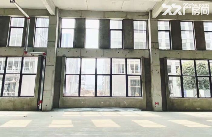 天府新区准现房、标准厂房长短租，欢迎企业入驻-图3