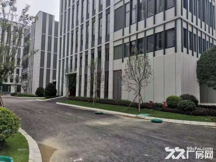 天府新区准现房、标准厂房长短租，欢迎企业入驻-图4