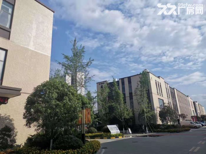 天府新区准现房、标准厂房长短租，欢迎企业入驻-图5