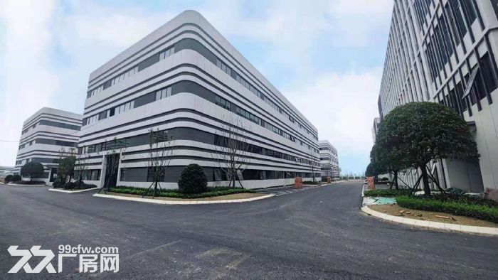 天府新区准现房、标准厂房长短租，欢迎企业入驻-图7