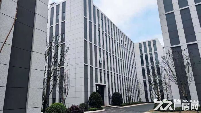 天府新区准现房、标准厂房长短租，欢迎企业入驻-图6