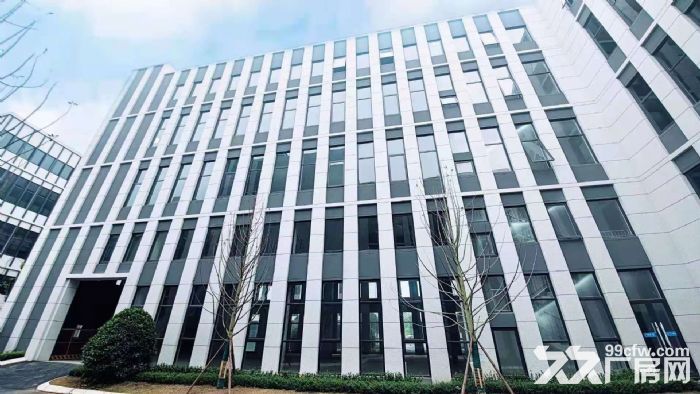 天府新区准现房、标准厂房长短租，欢迎企业入驻-图8