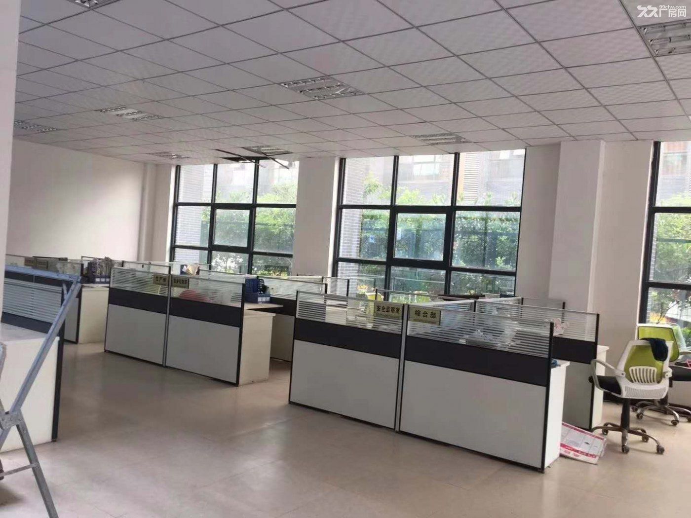 4500平米独门独院办公精装修独一套空地面积宽敞打车随便进可办证-图6