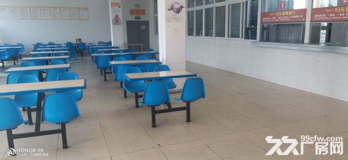 双流航空港厂房办公宿舍出租-图3