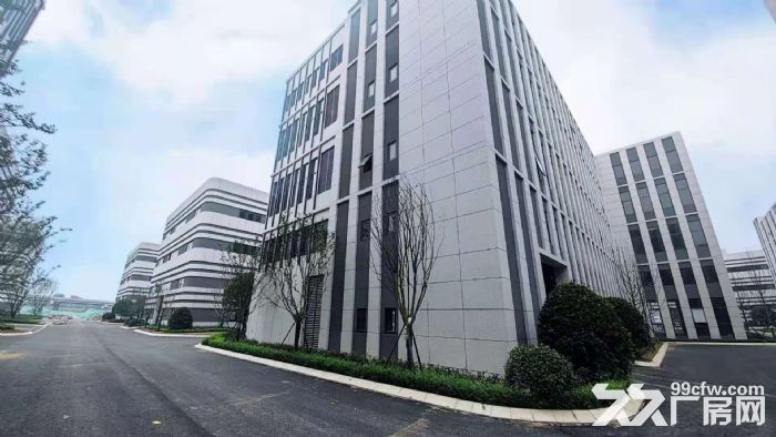 天府新区准现房、标准厂房长短租，欢迎企业入驻